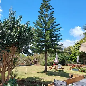 Viewpoint Machico - Lovely Nature View Apartamento